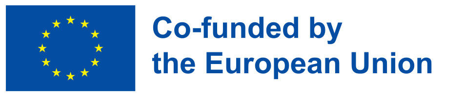 DSSI - Digital Services & Senior's Inclusion